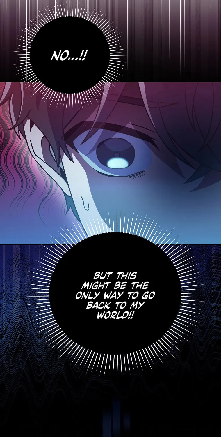 The Novel