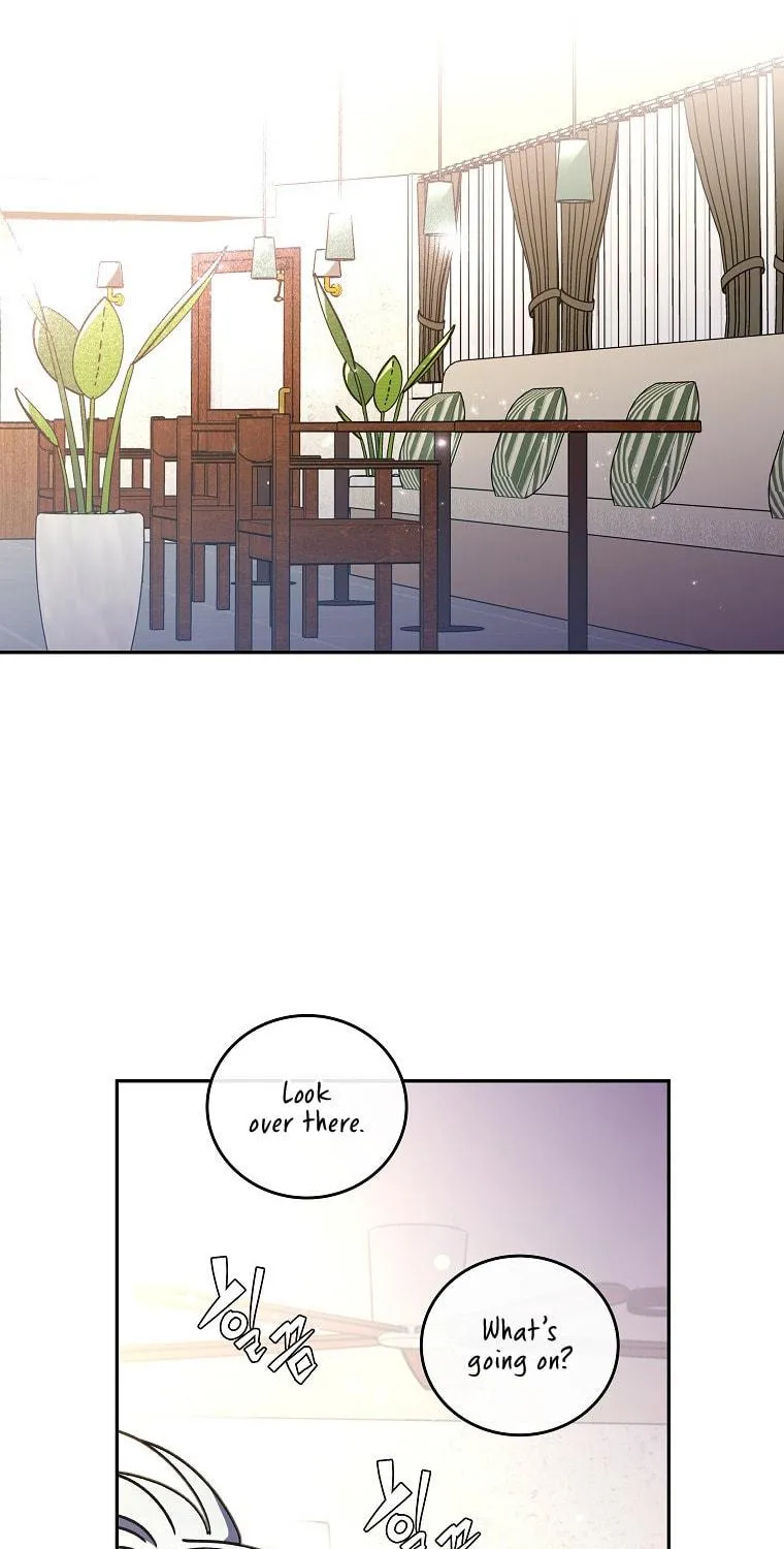 The Novel