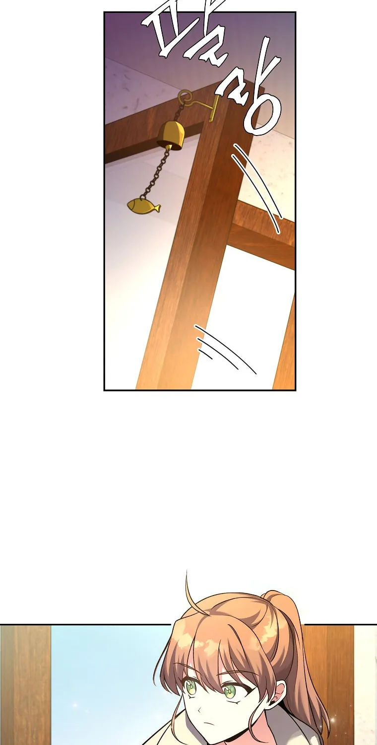 The Novel