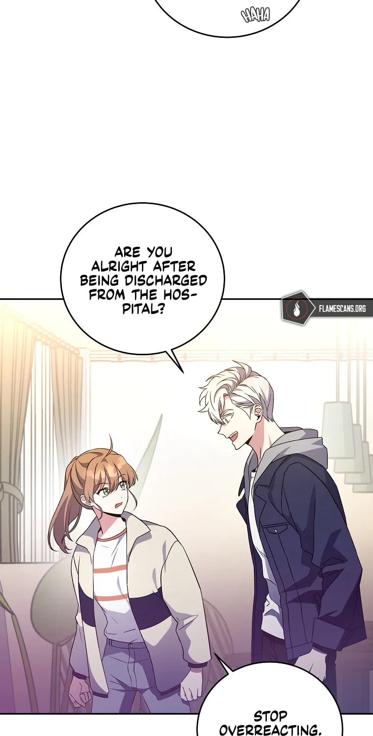 The Novel