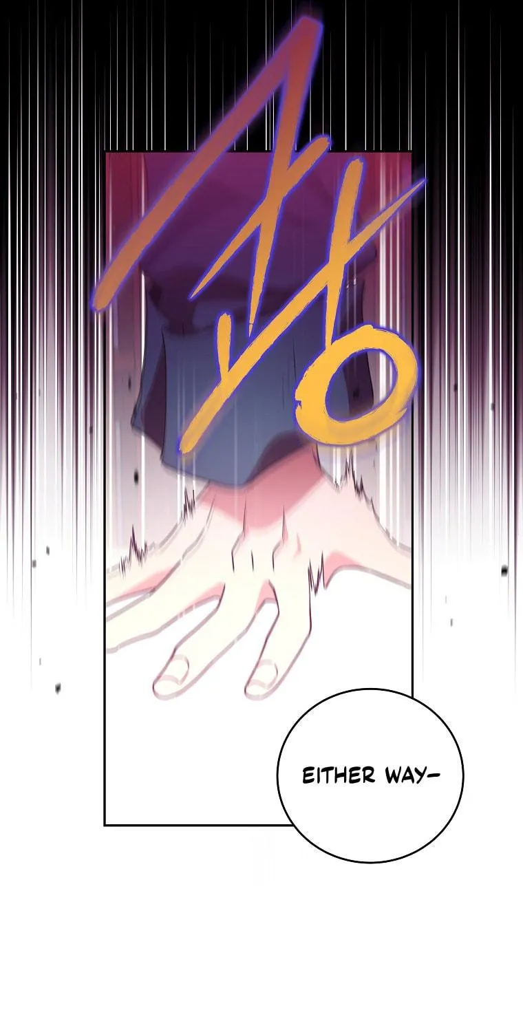 The Novel