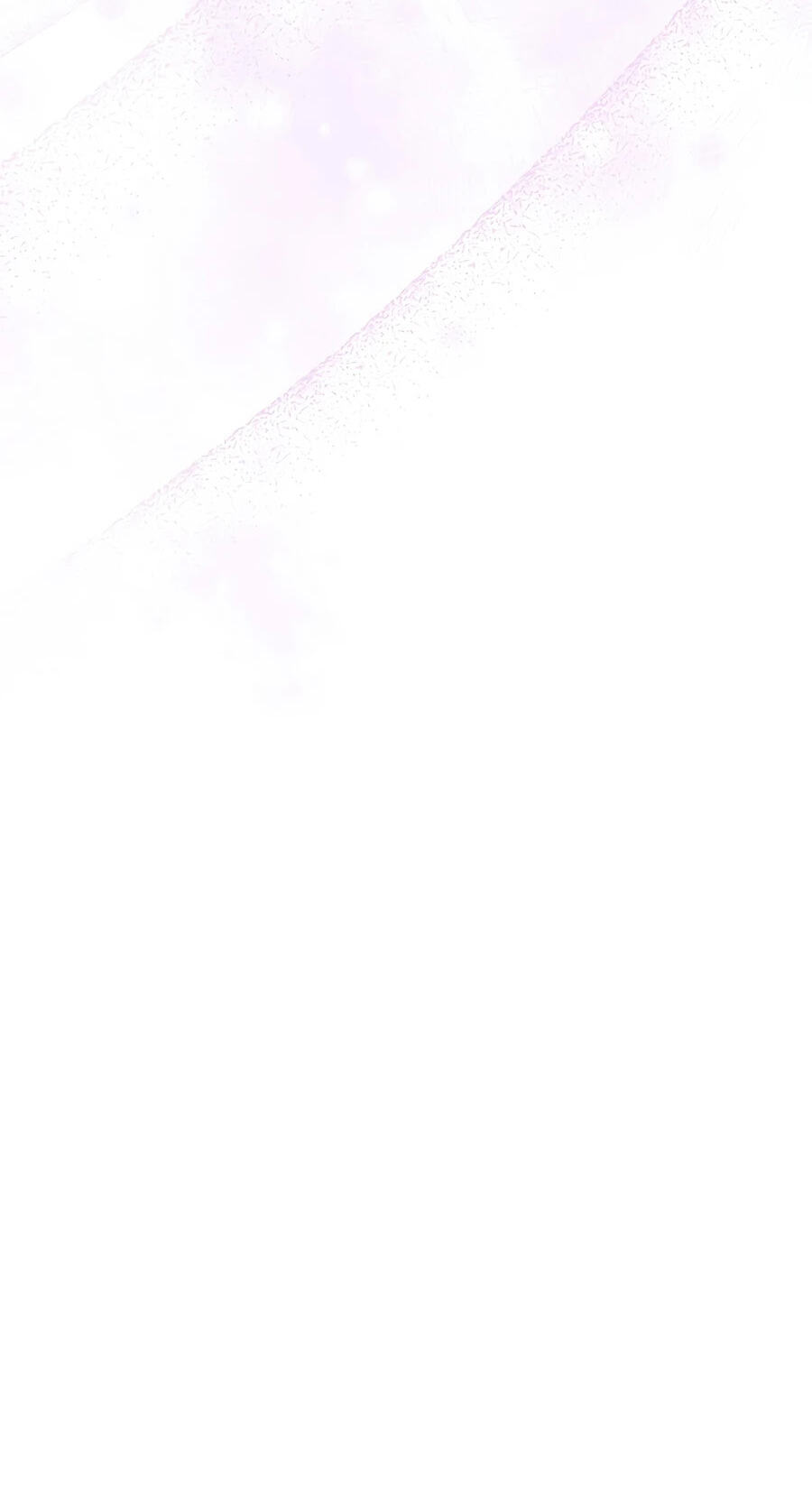 The Novel
