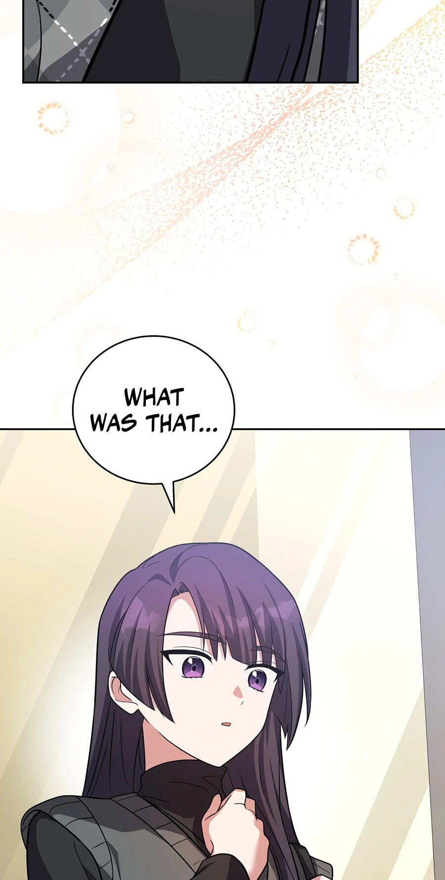 The Novel