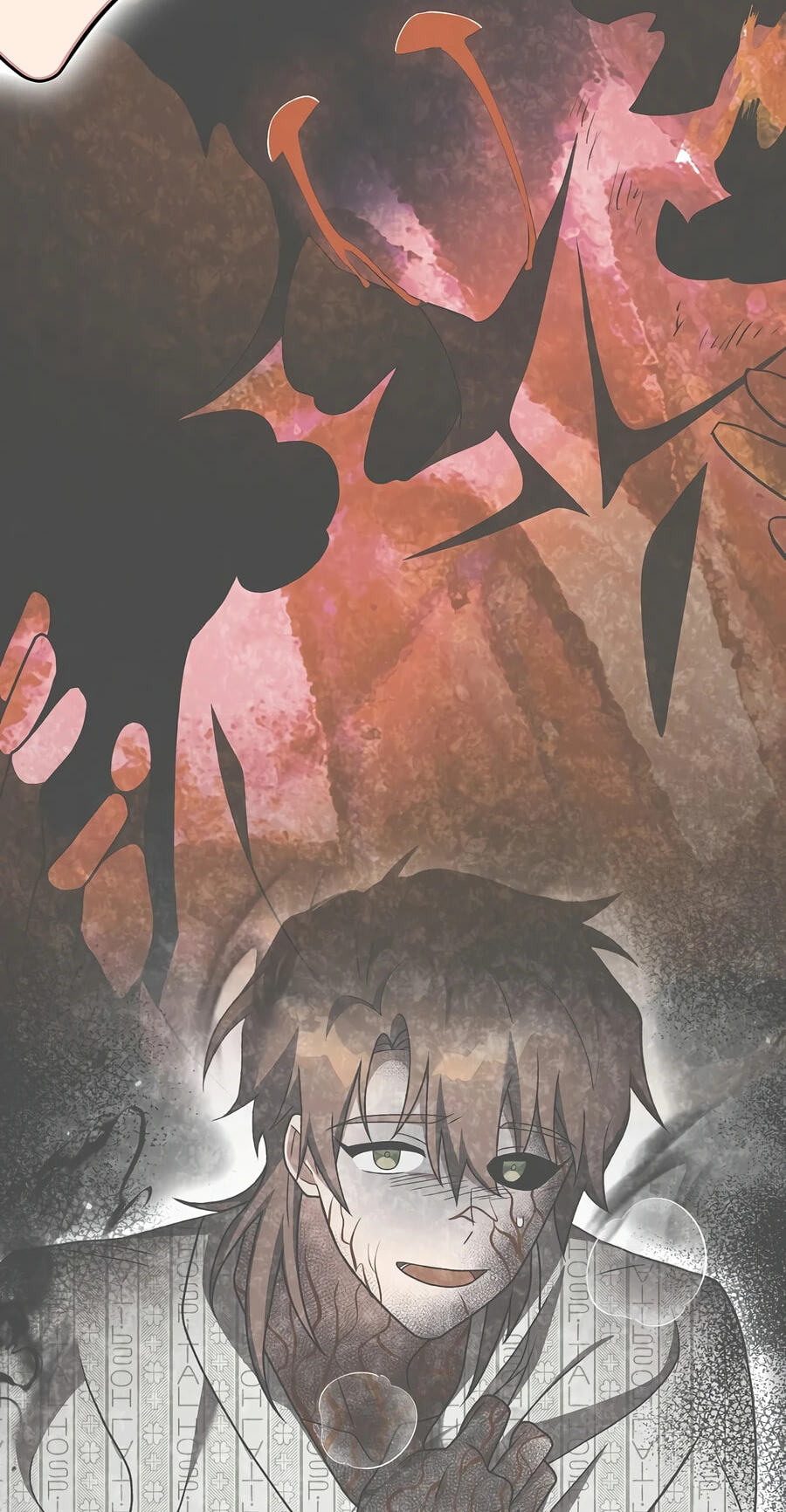 The Novel