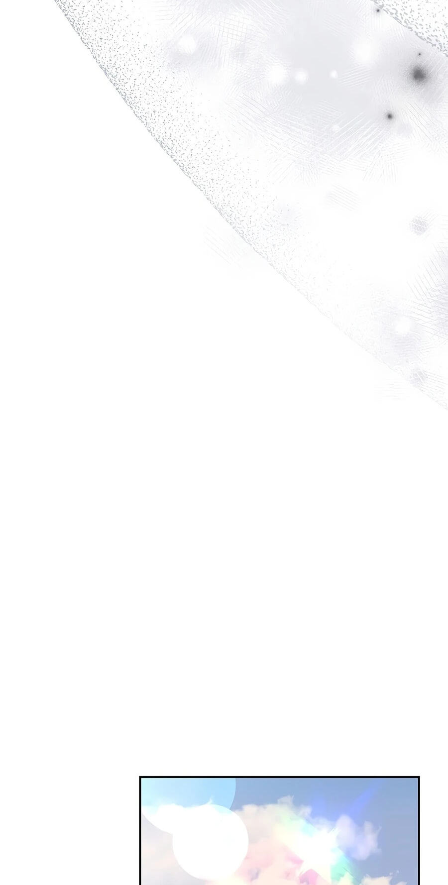 The Novel