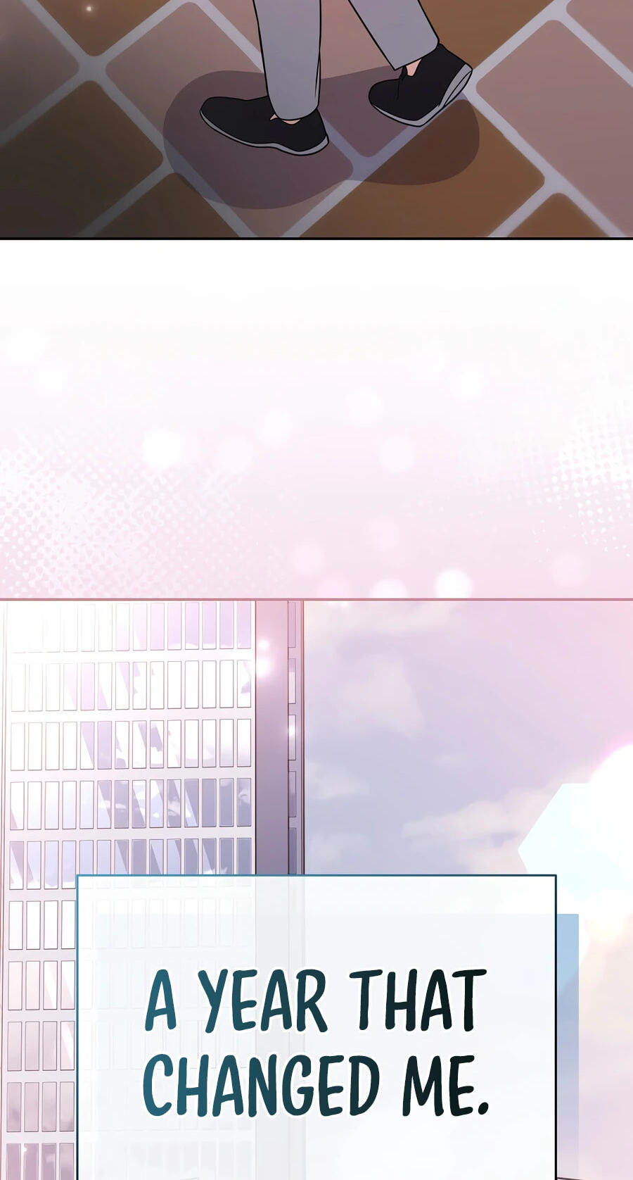 The Novel