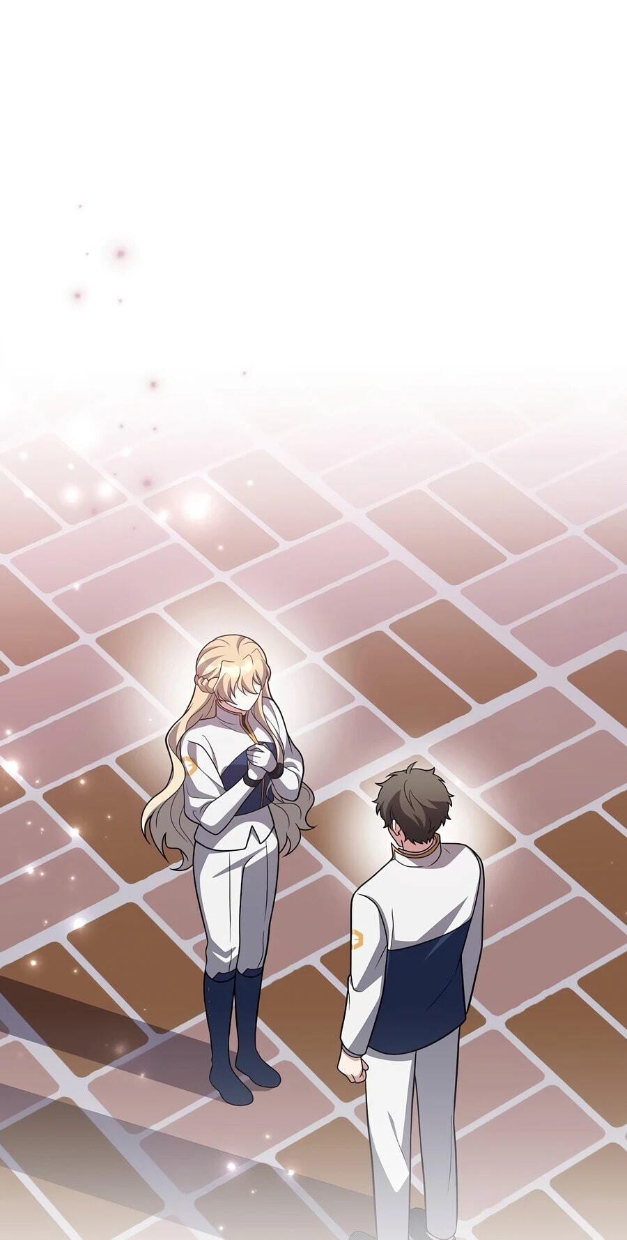 The Novel