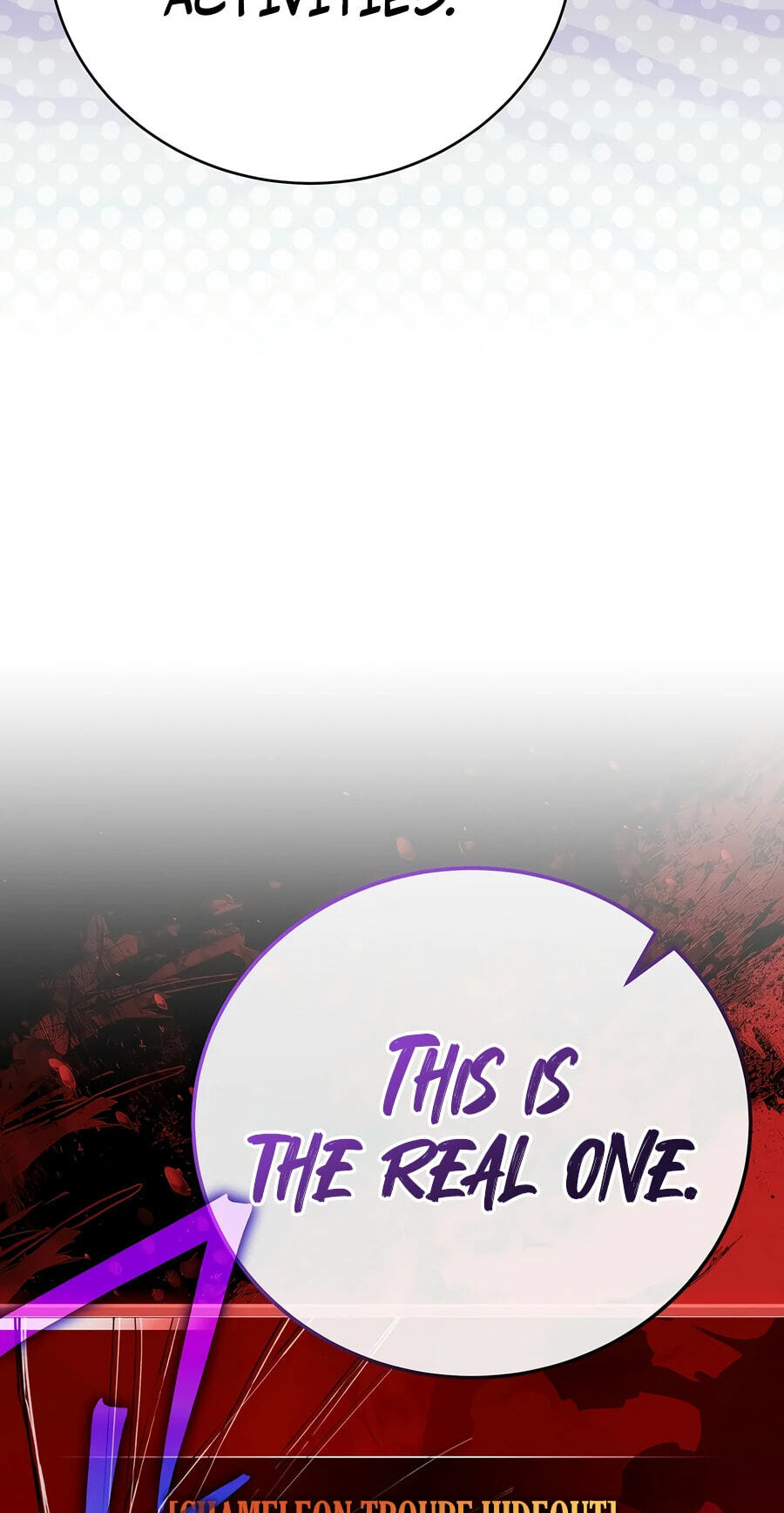 The Novel