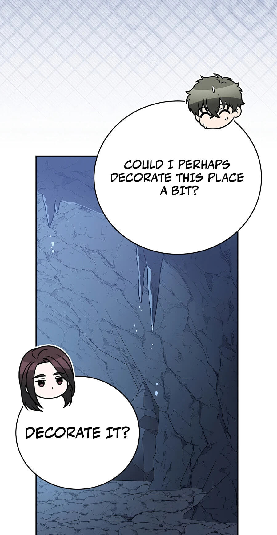 The Novel
