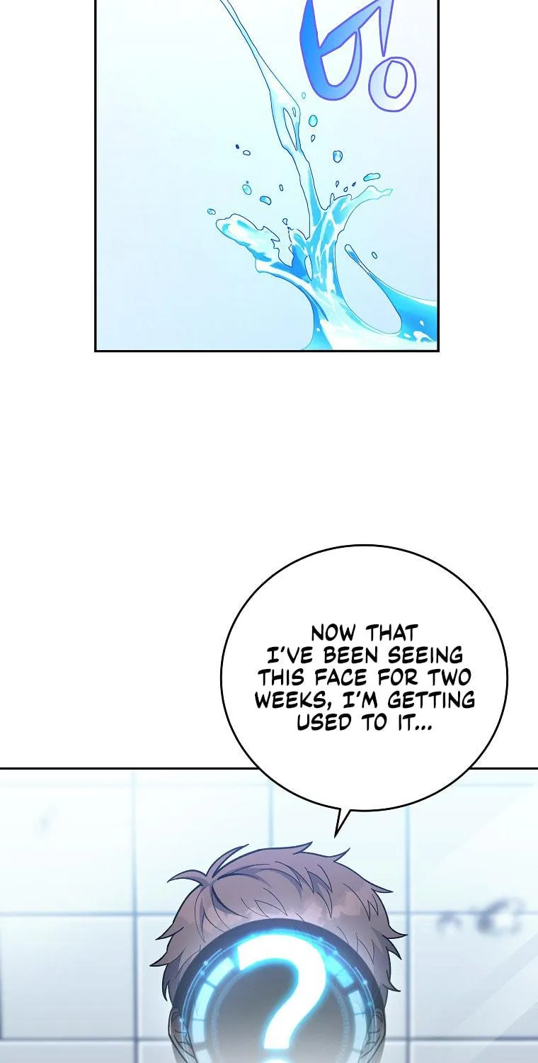 The Novel