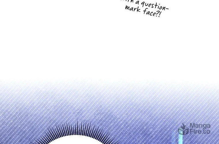 The Novel