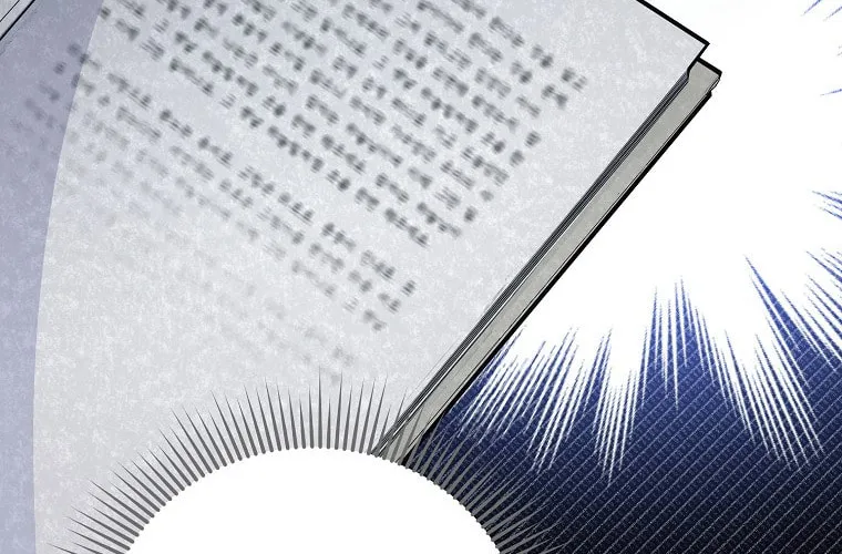 The Novel