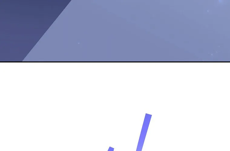 The Novel