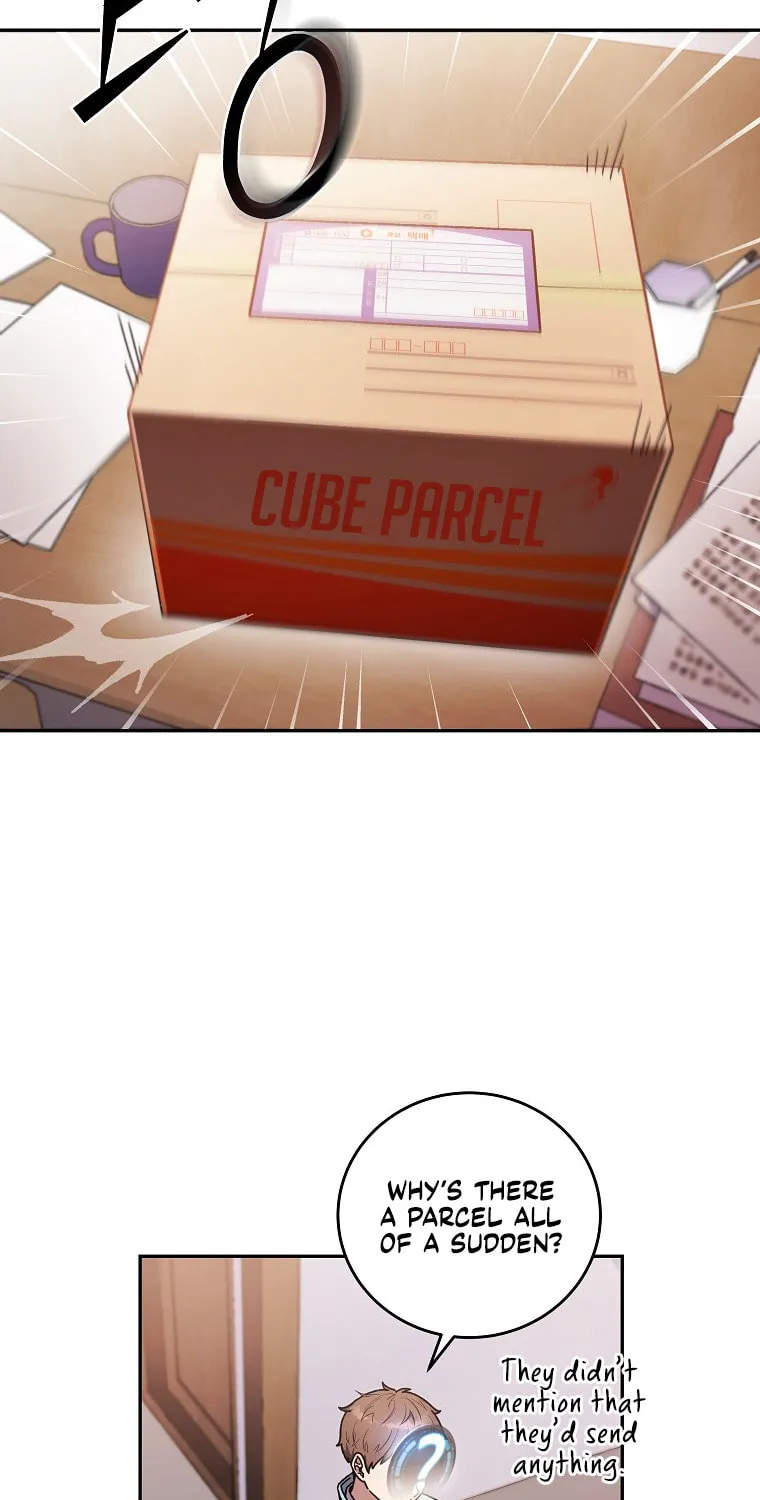 The Novel
