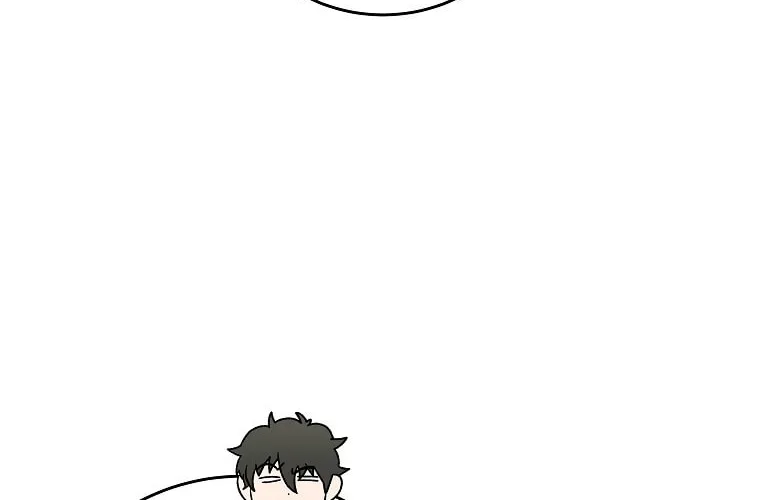 The Novel