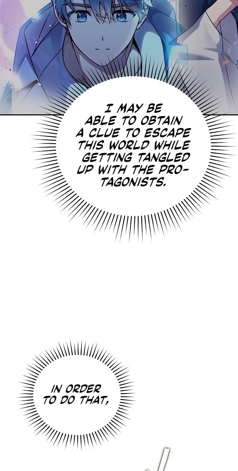 The Novel