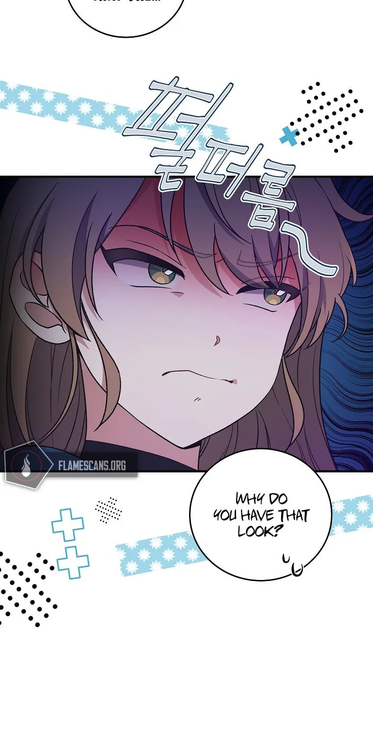The Novel