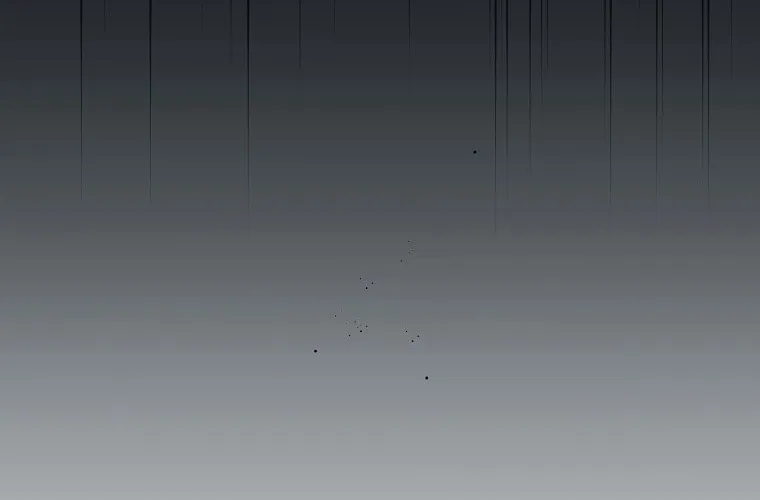 The Novel