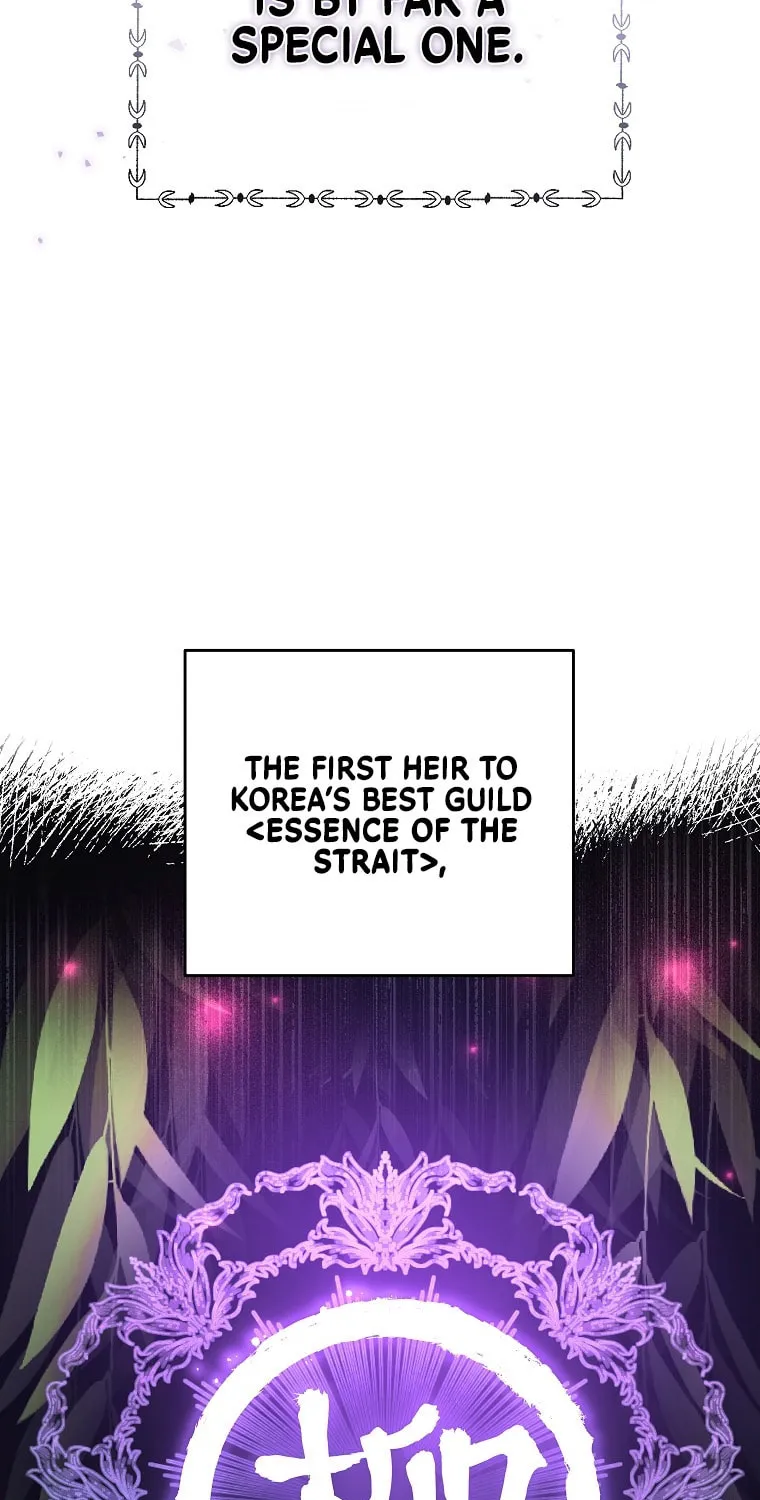 The Novel