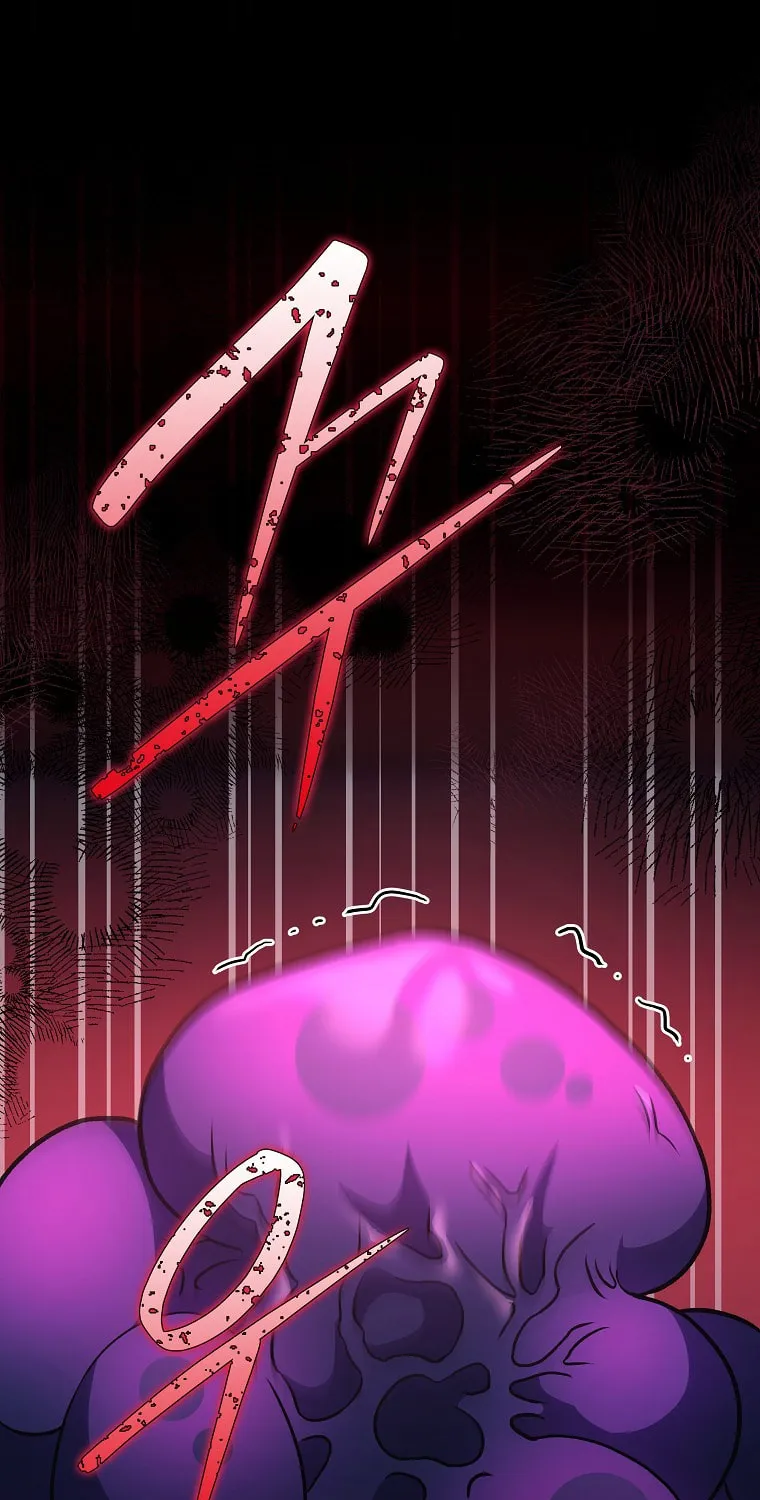 The Novel