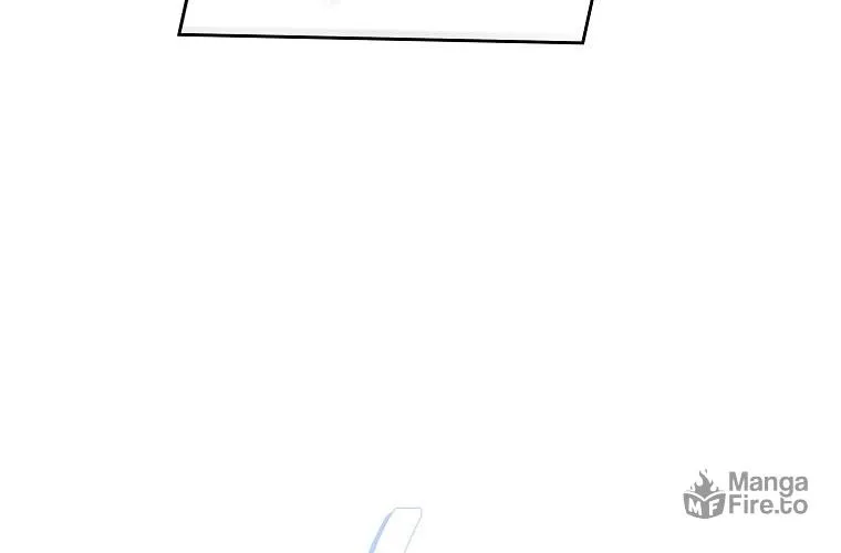 The Novel