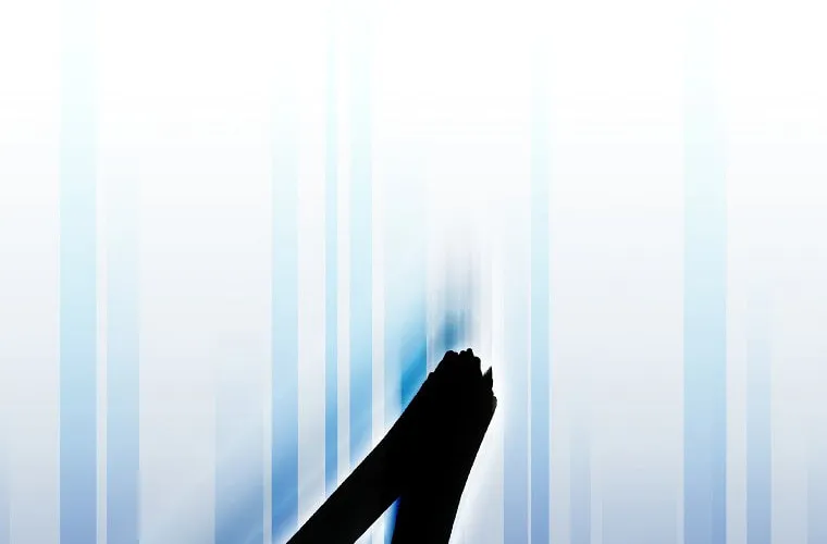 The Novel