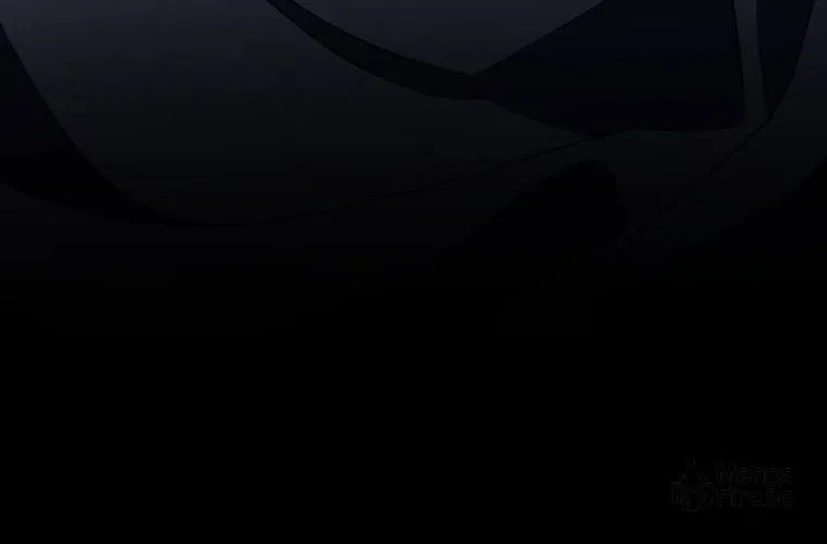 The Novel