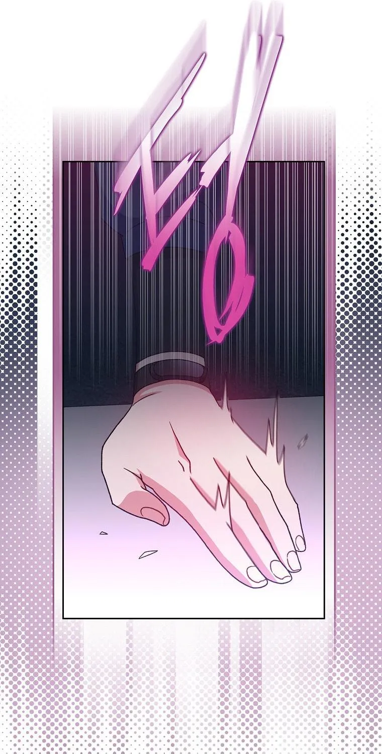 The Novel