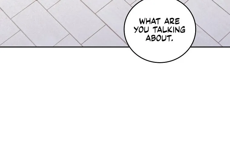 The Novel