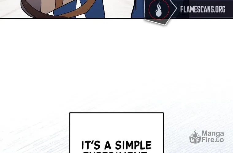 The Novel