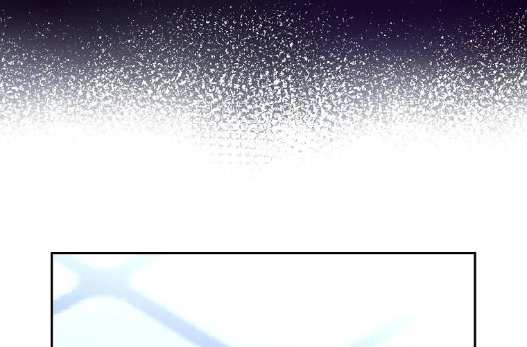 The Novel