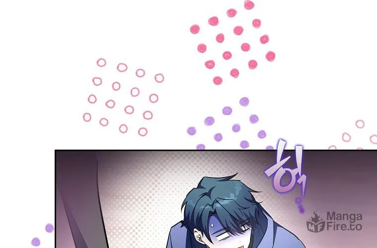 The Novel