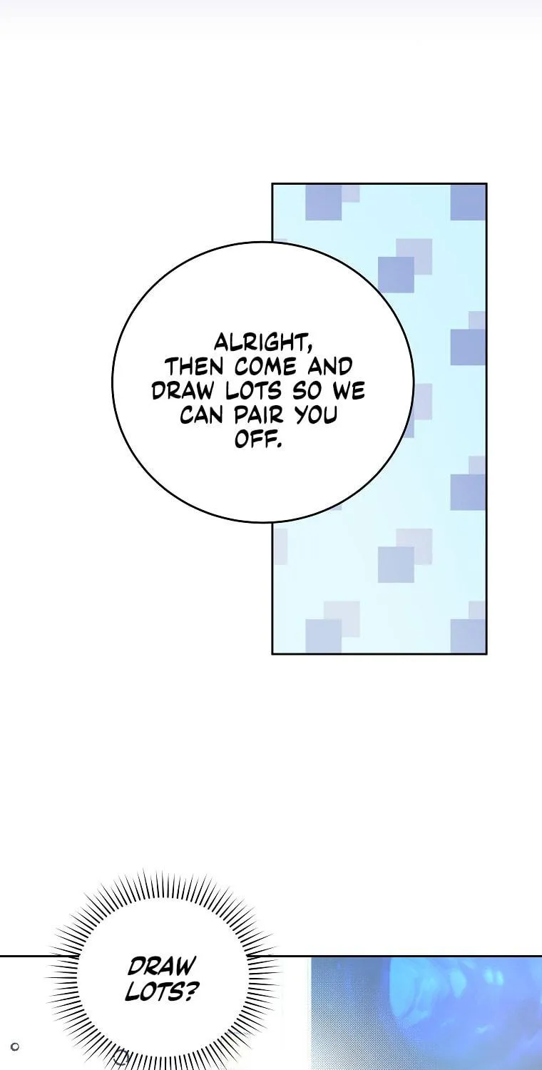 The Novel