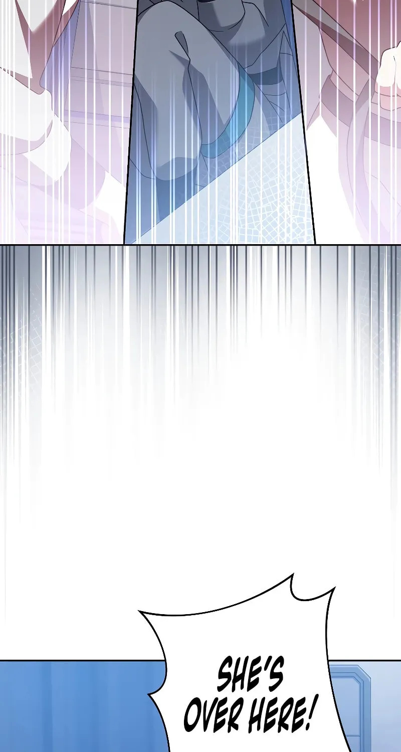 The Novel