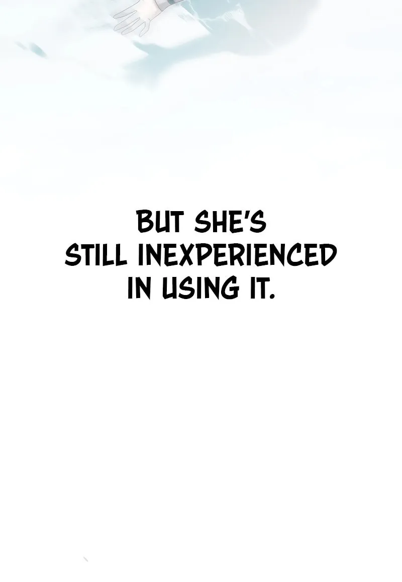 The Novel
