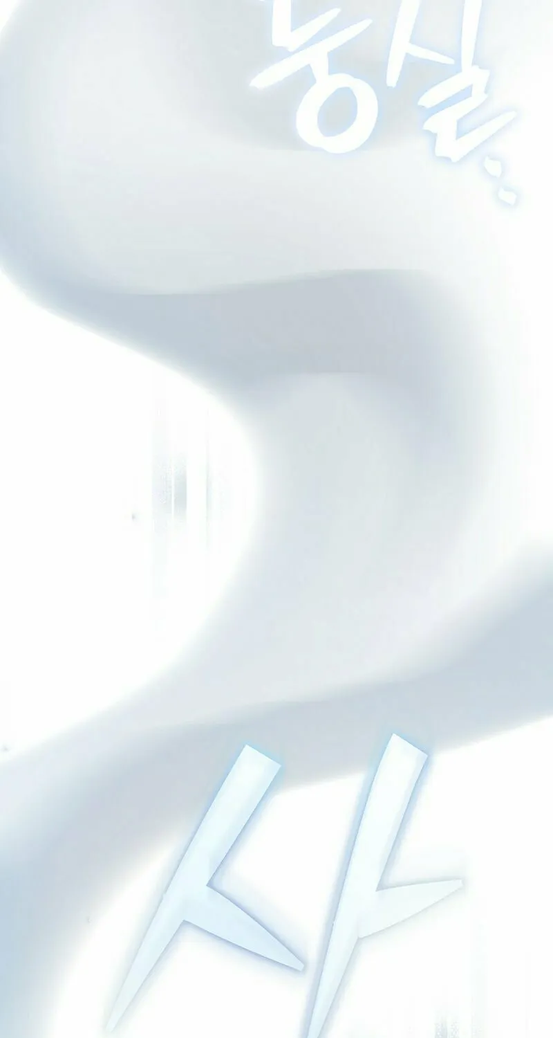 The Novel