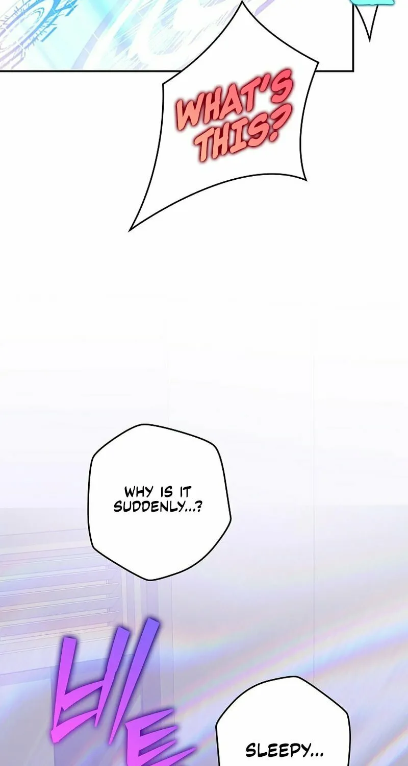 The Novel