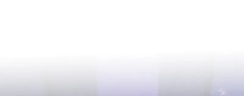 The Novel
