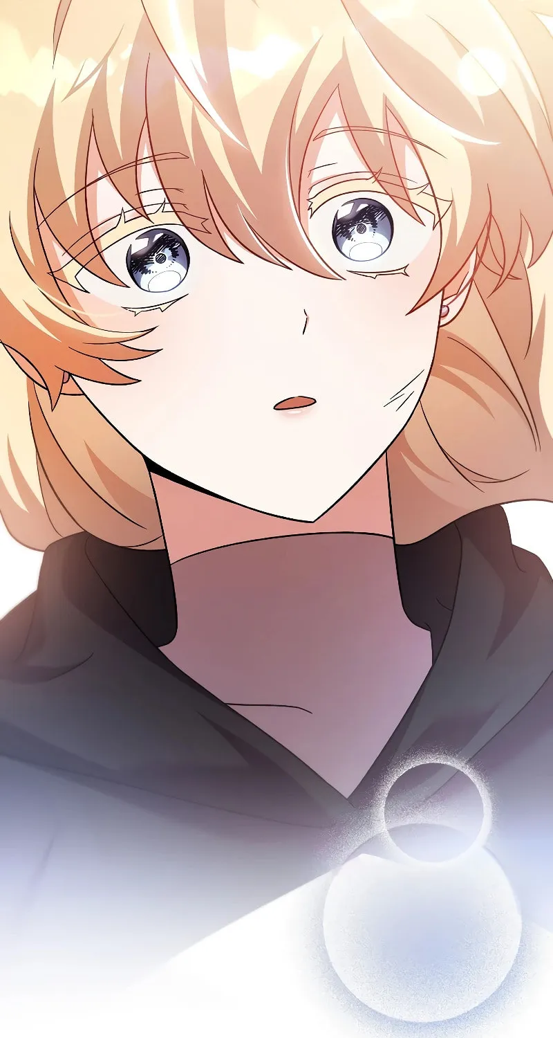 The Novel
