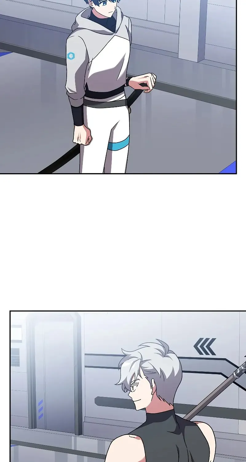 The Novel
