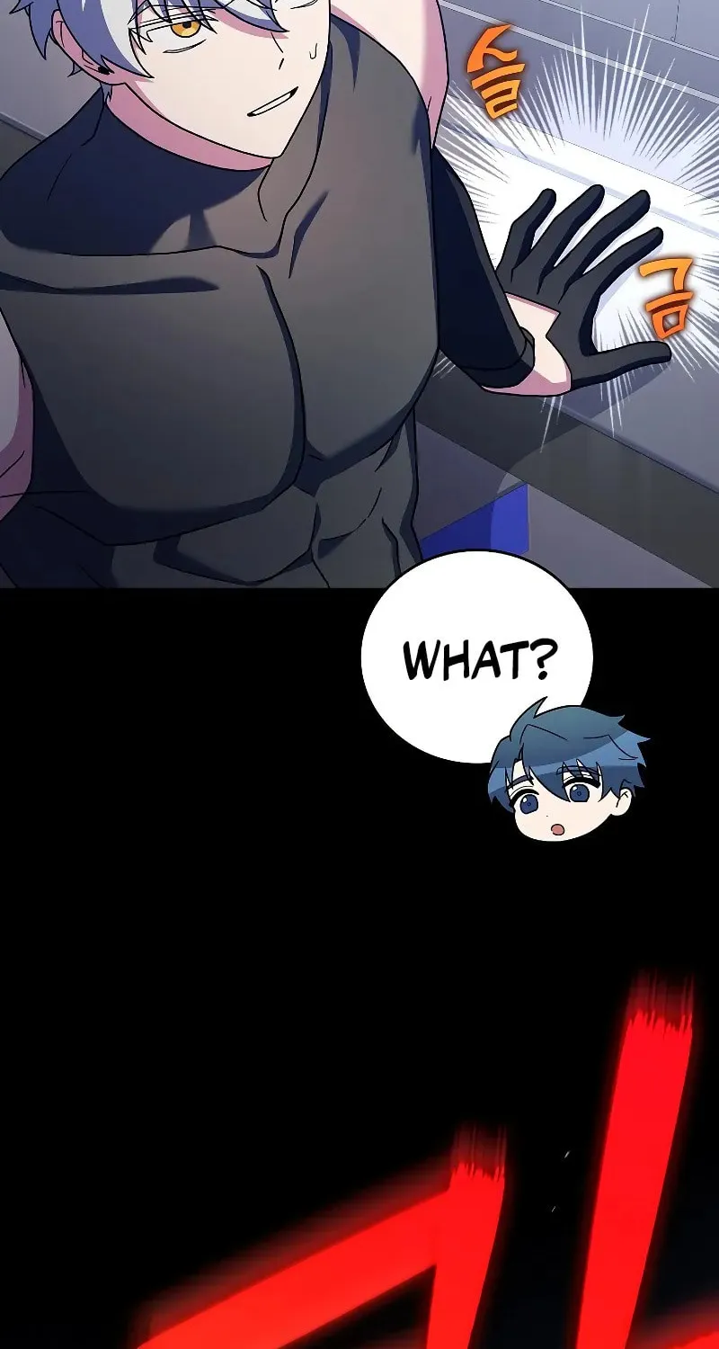 The Novel