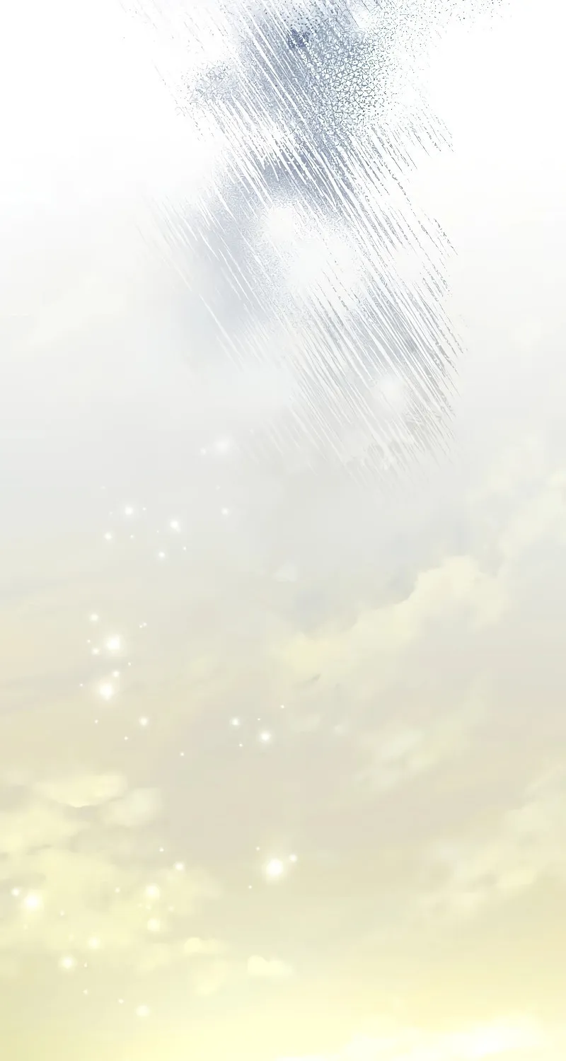 The Novel