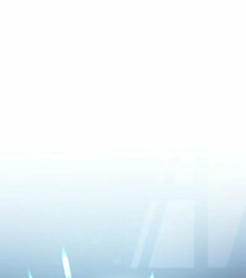 The Novel