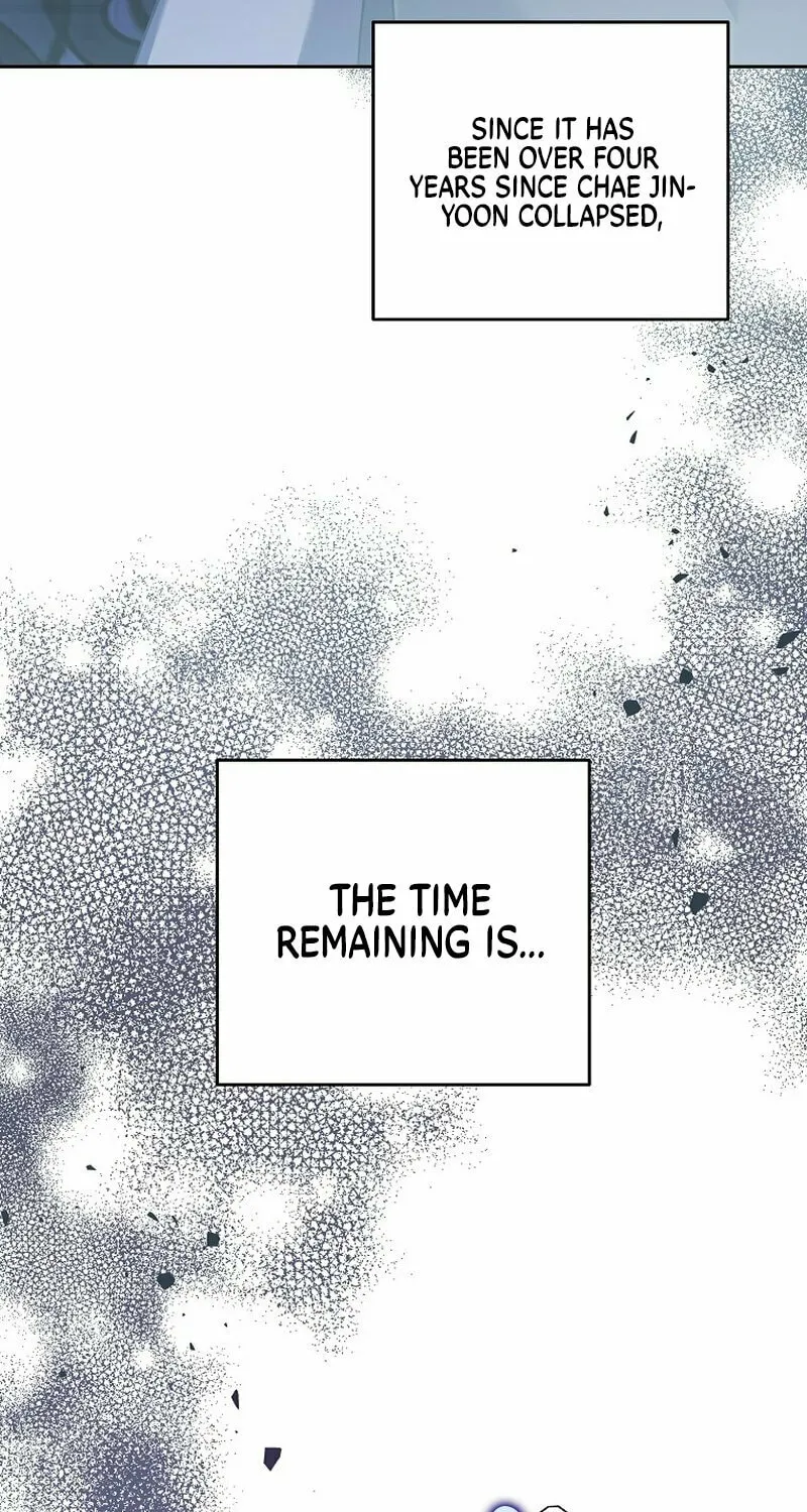 The Novel