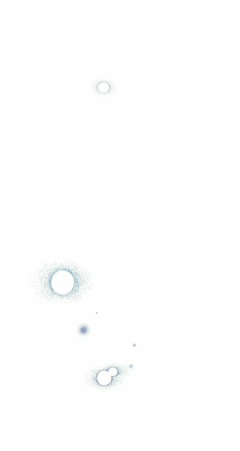 The Novel