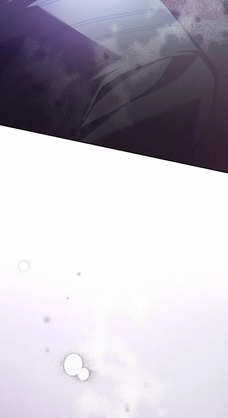 The Novel