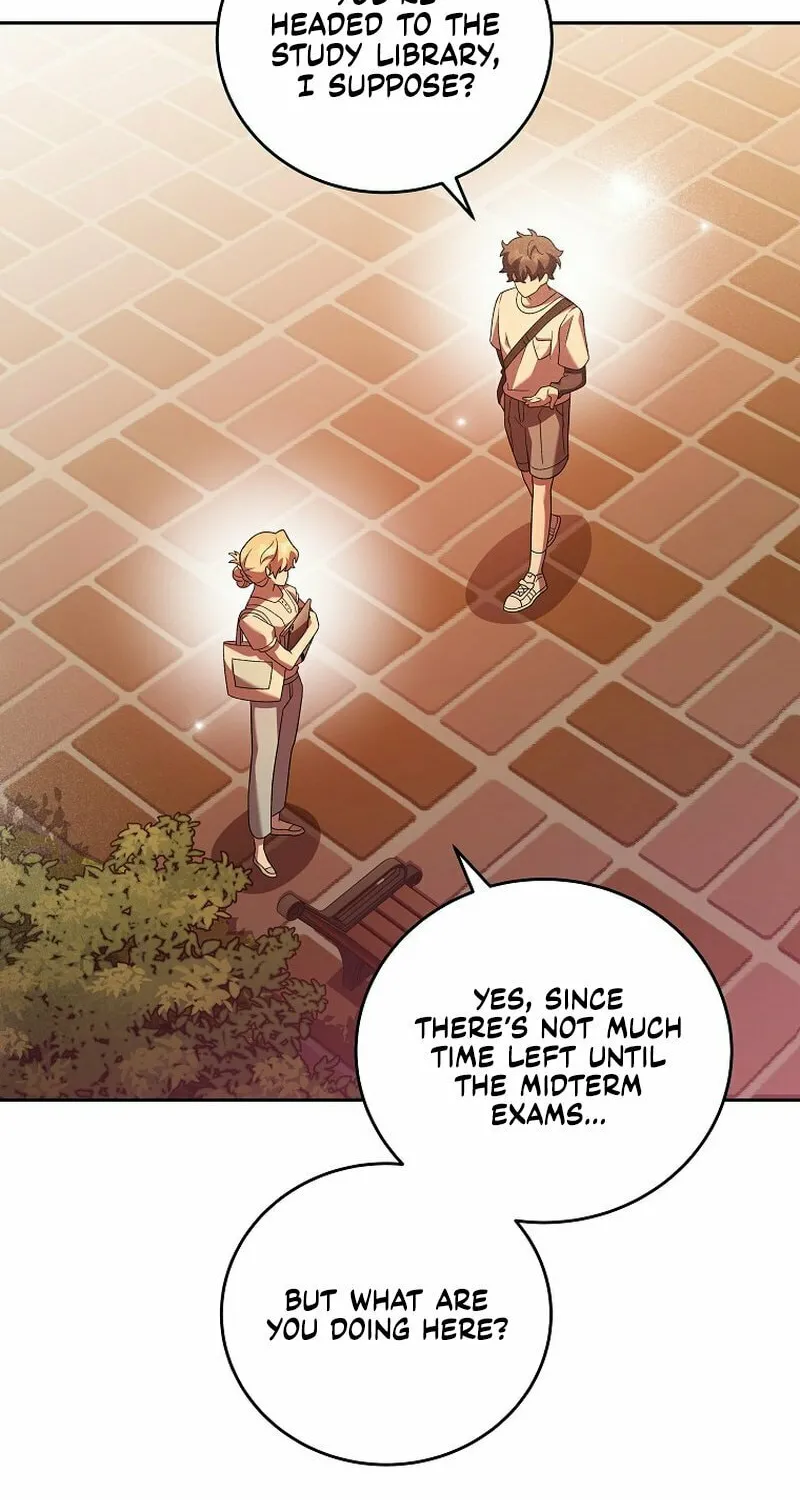 The Novel