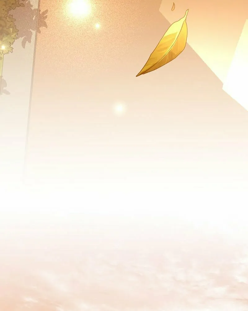 The Novel