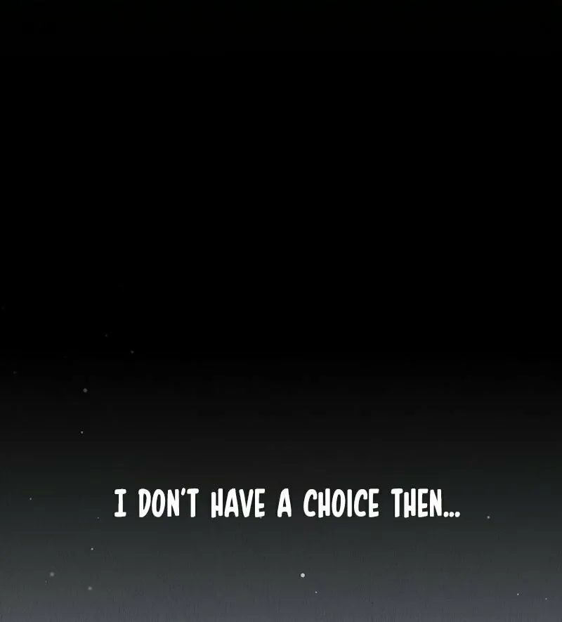 The Novel