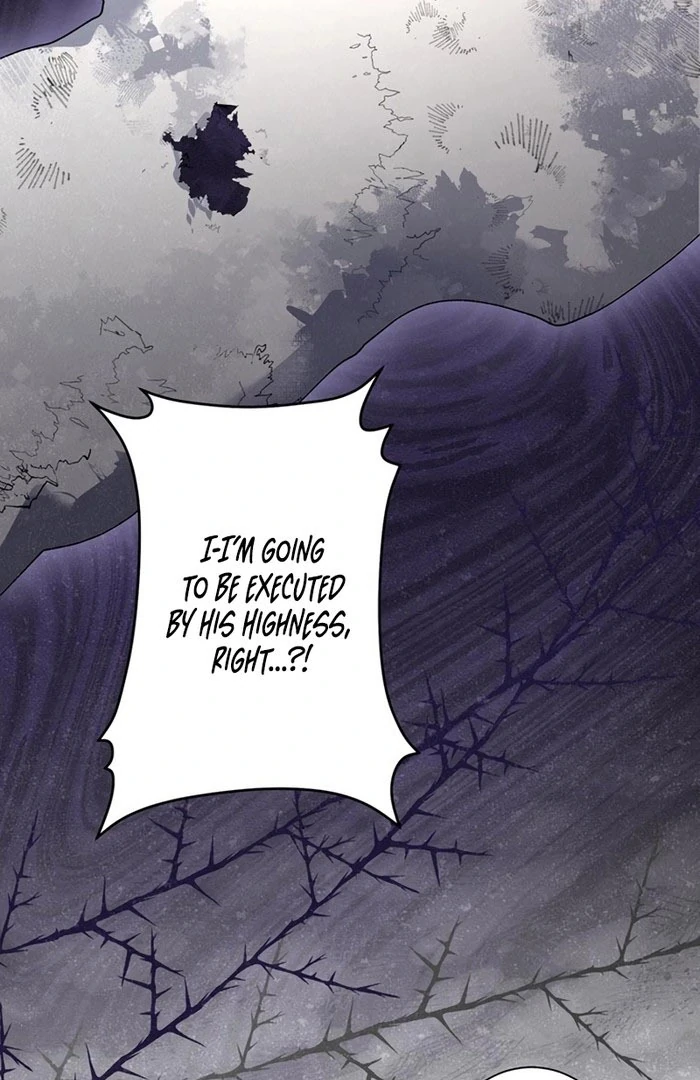 The Obsessed Young Prince Loves the Unlucky Princess Too Much! Chapter 10 page 107 - 